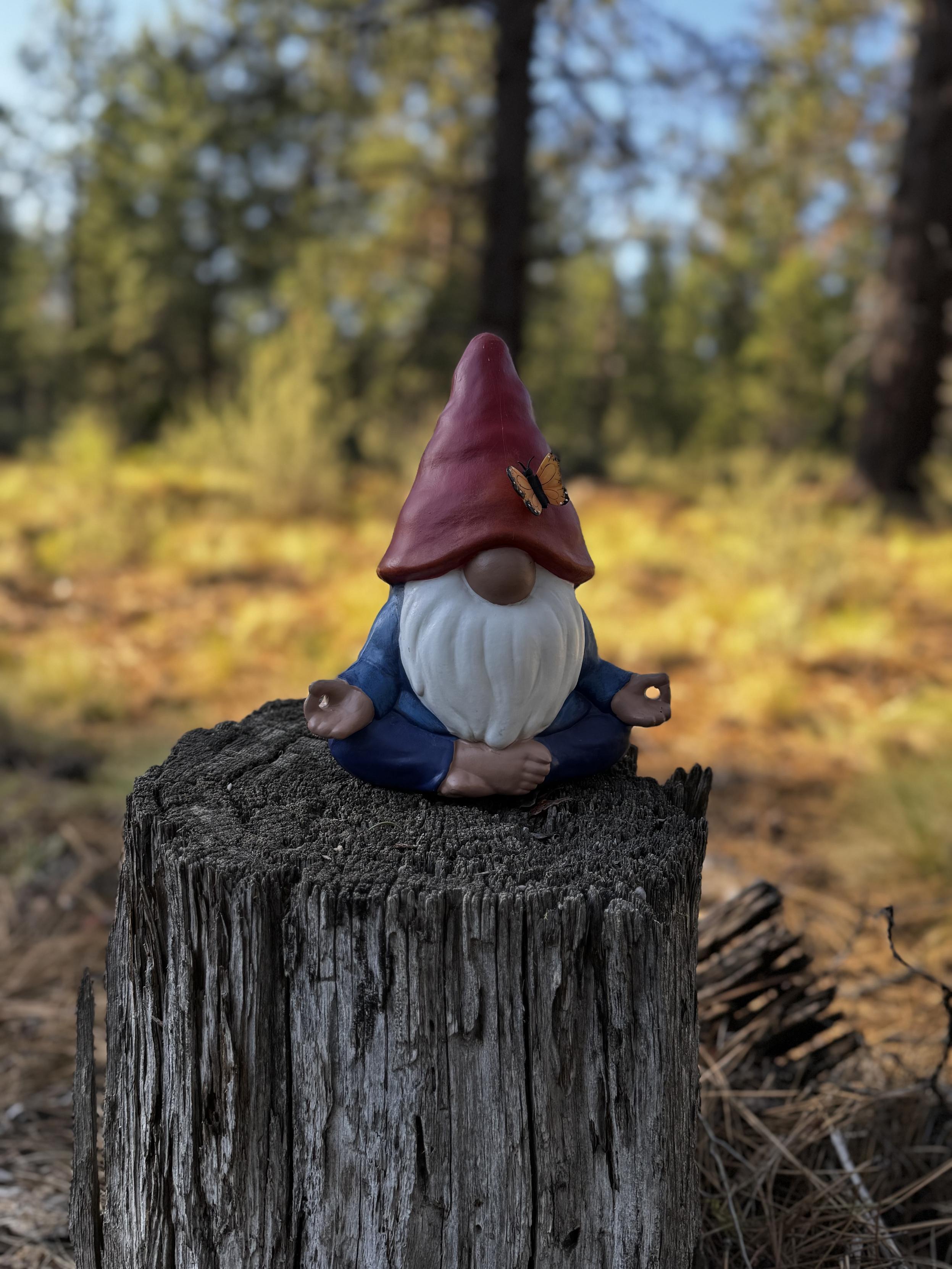 A plastic gnome figurine in the lotus meditation position resting on a stump in the forest.
