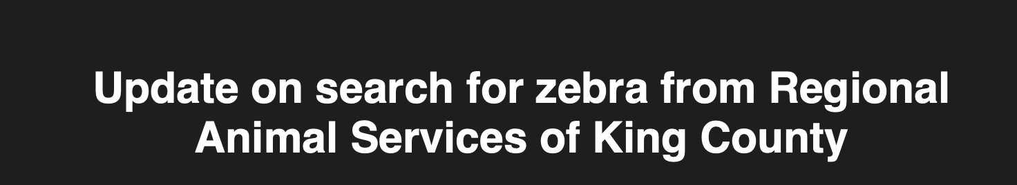 Update on search for zebra from Regional
Animal Services of King County