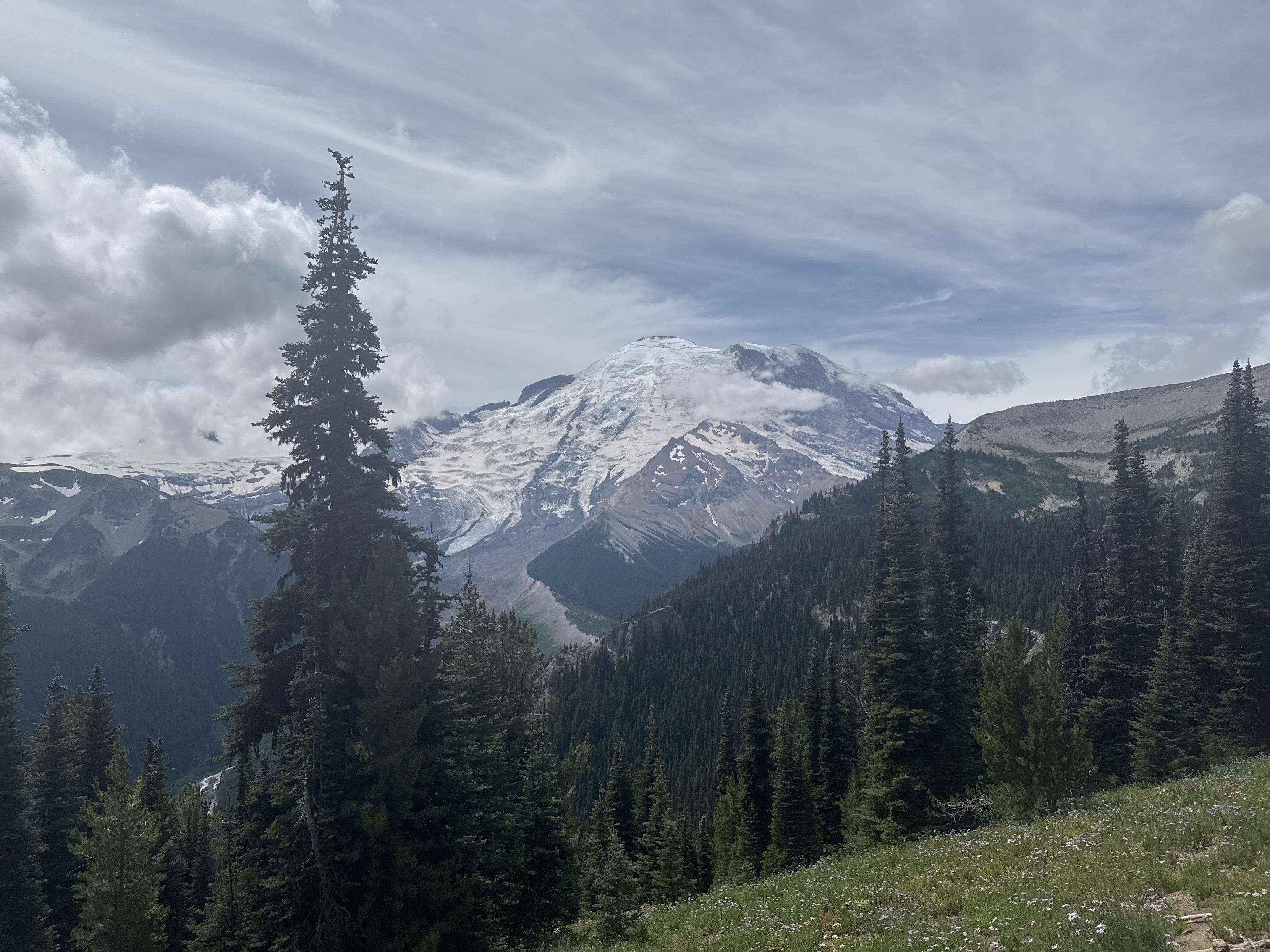 View of Mt Rainier 