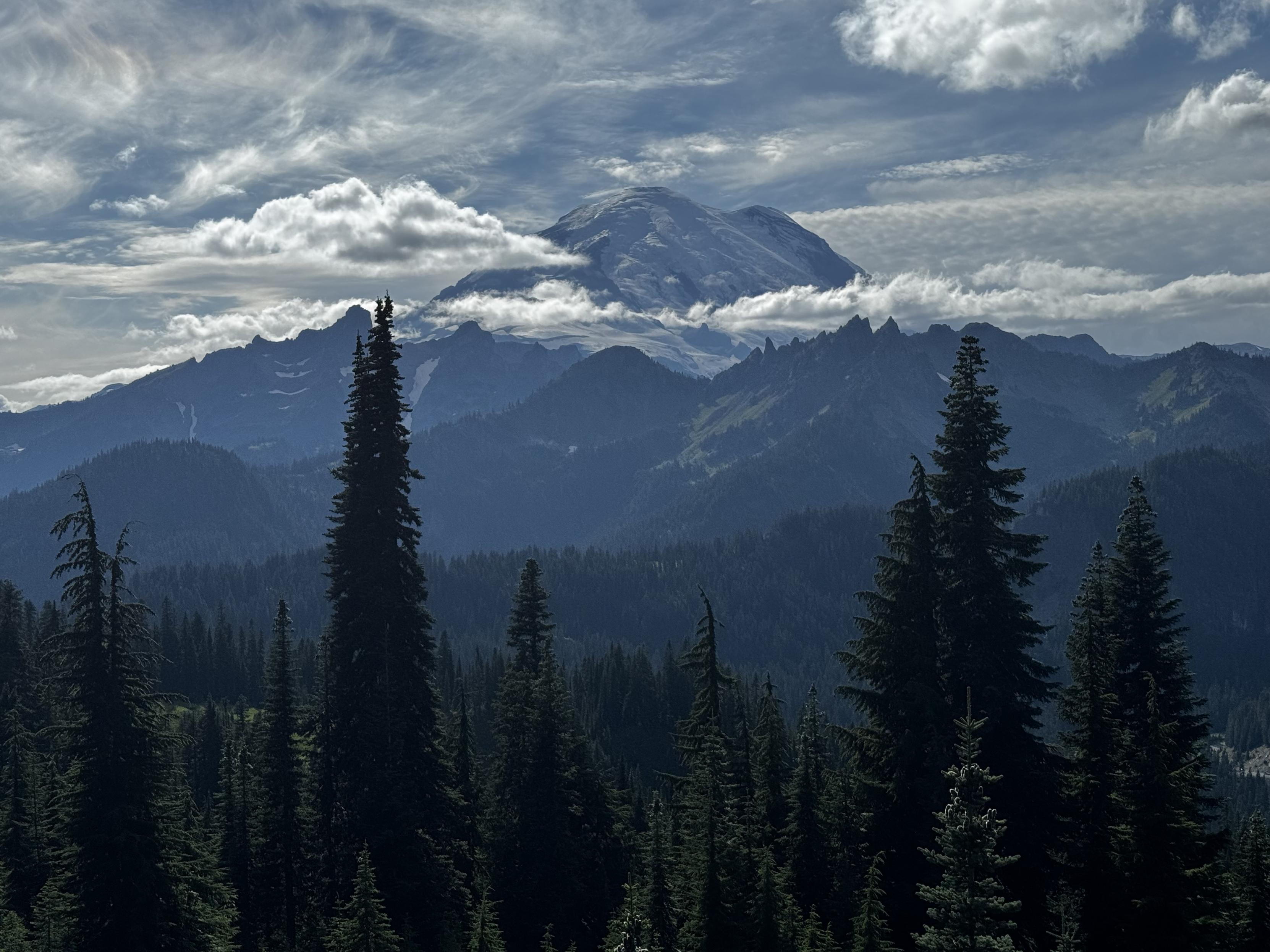 Mt Rainier summit in the distance.