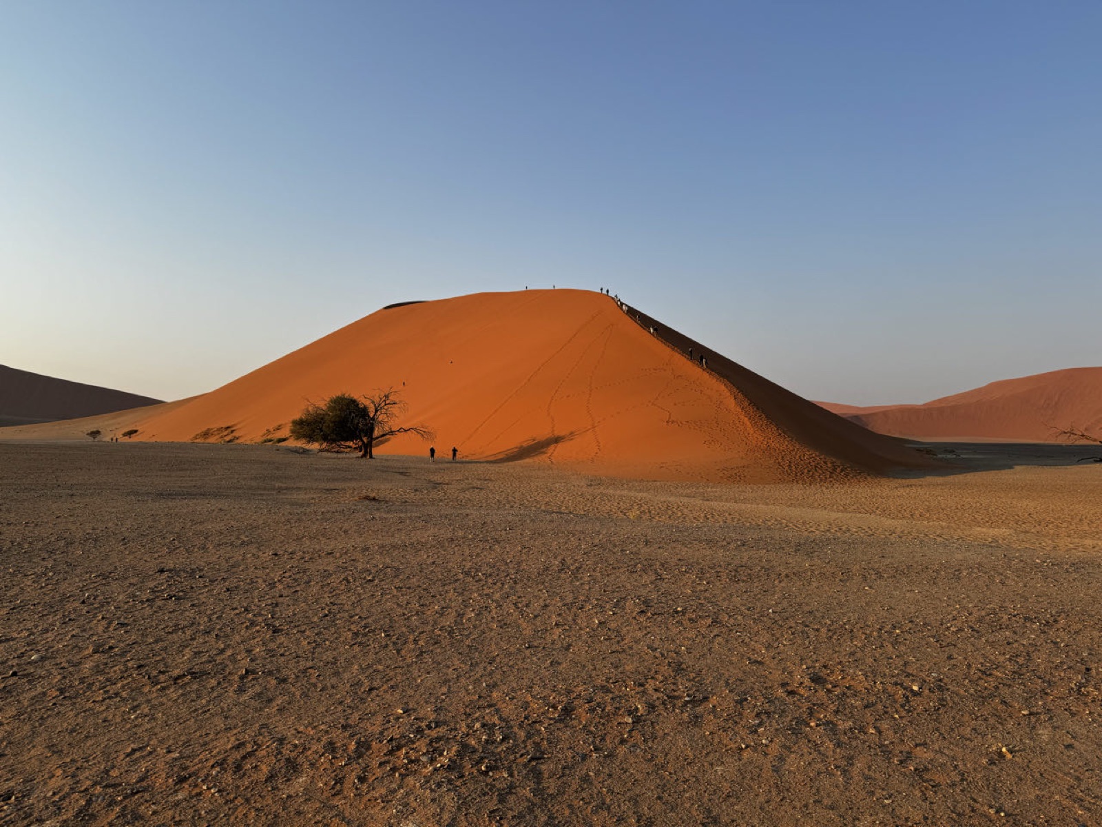 A red dune at sunrise near Sossusvlei